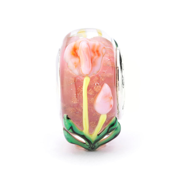 Tulips from the Heart