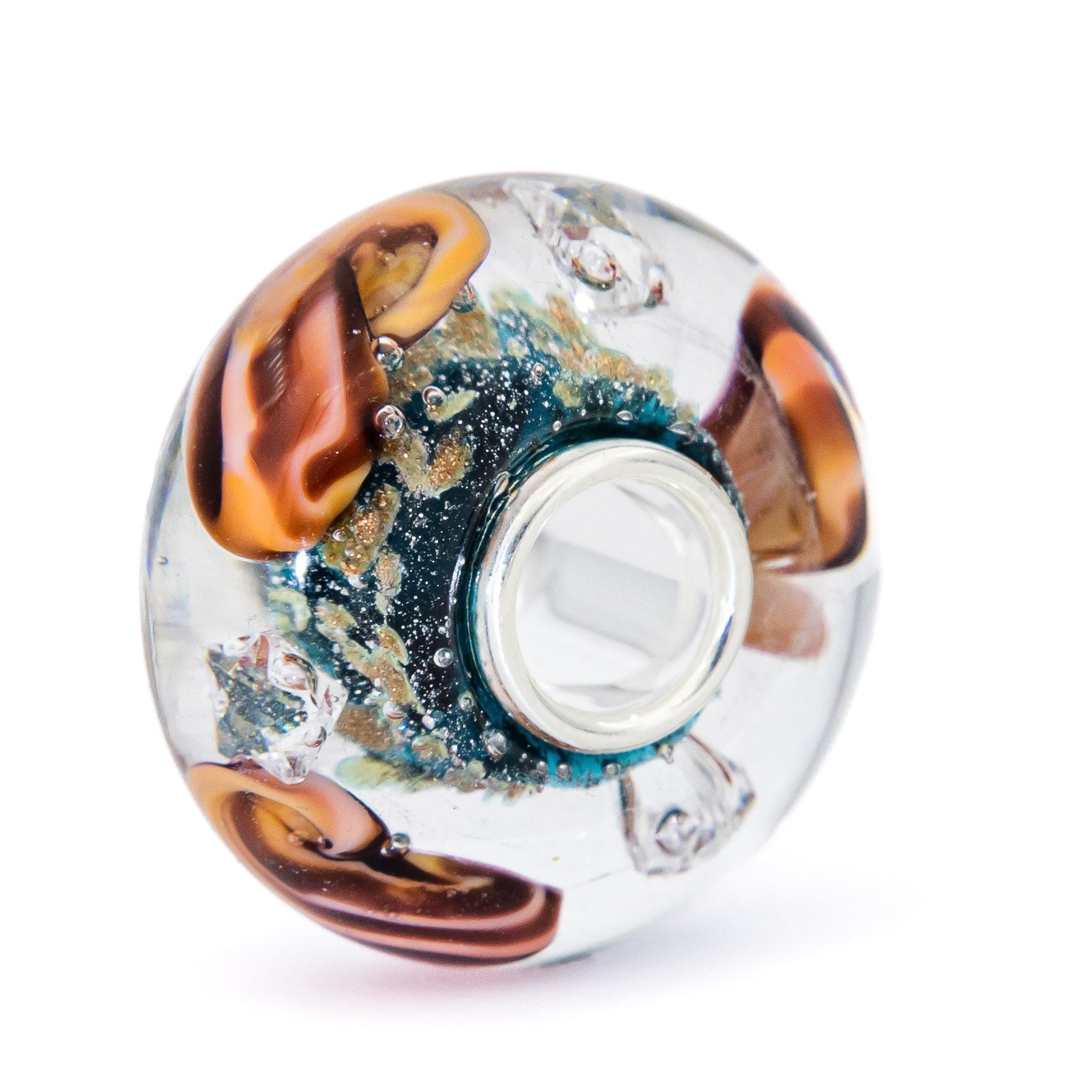 Ocean Seashell Shimmering