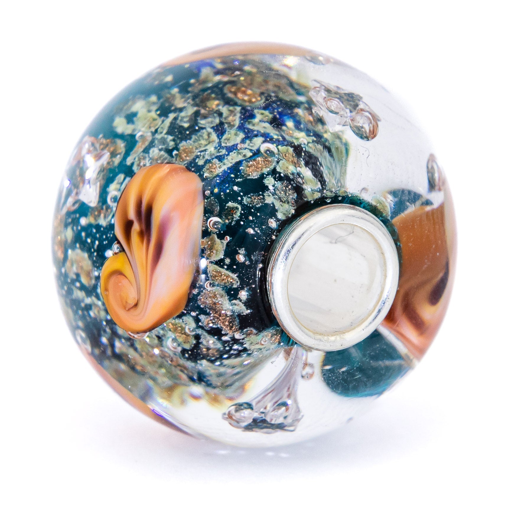 Ocean Seashell Shimmering World