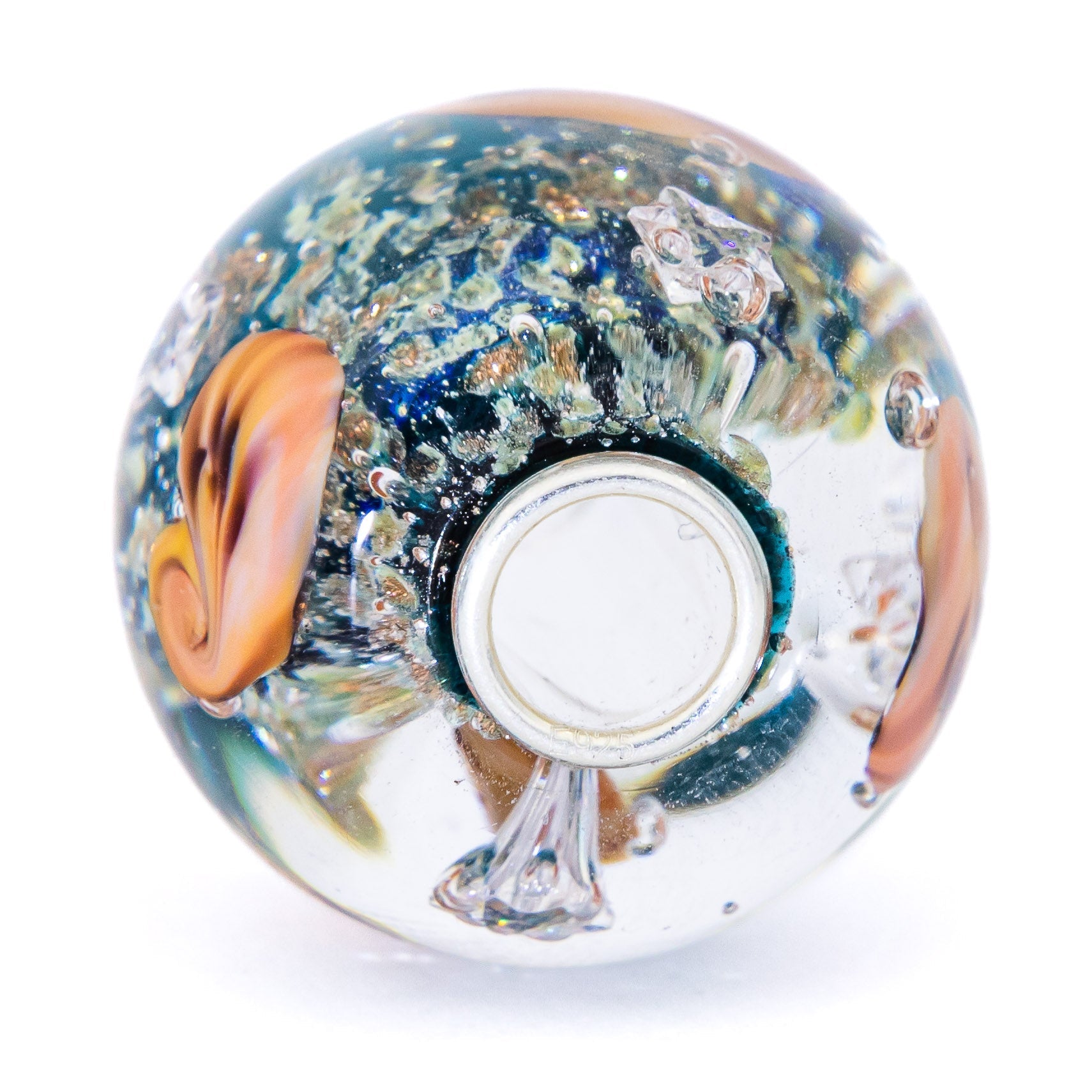 Ocean Seashell Shimmering World