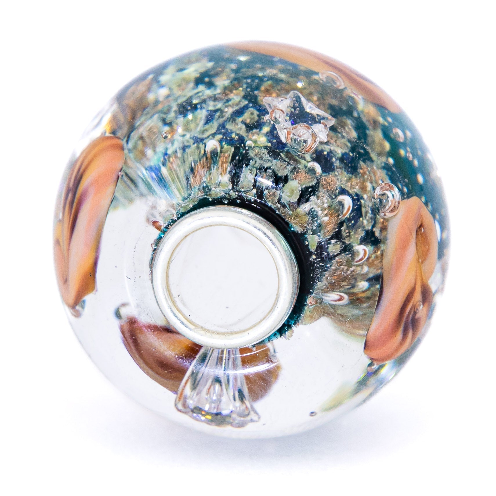 Ocean Seashell Shimmering World