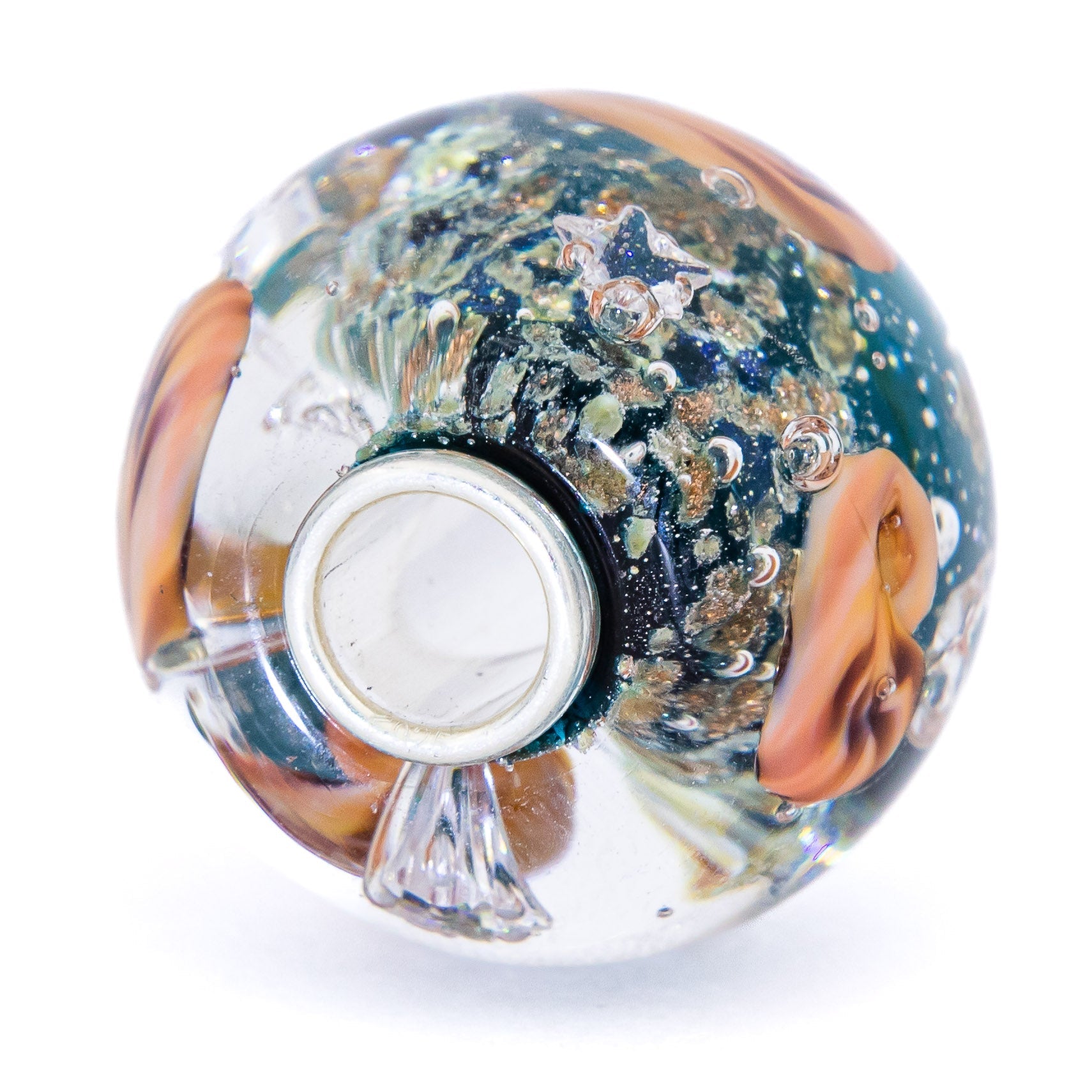 Ocean Seashell Shimmering World