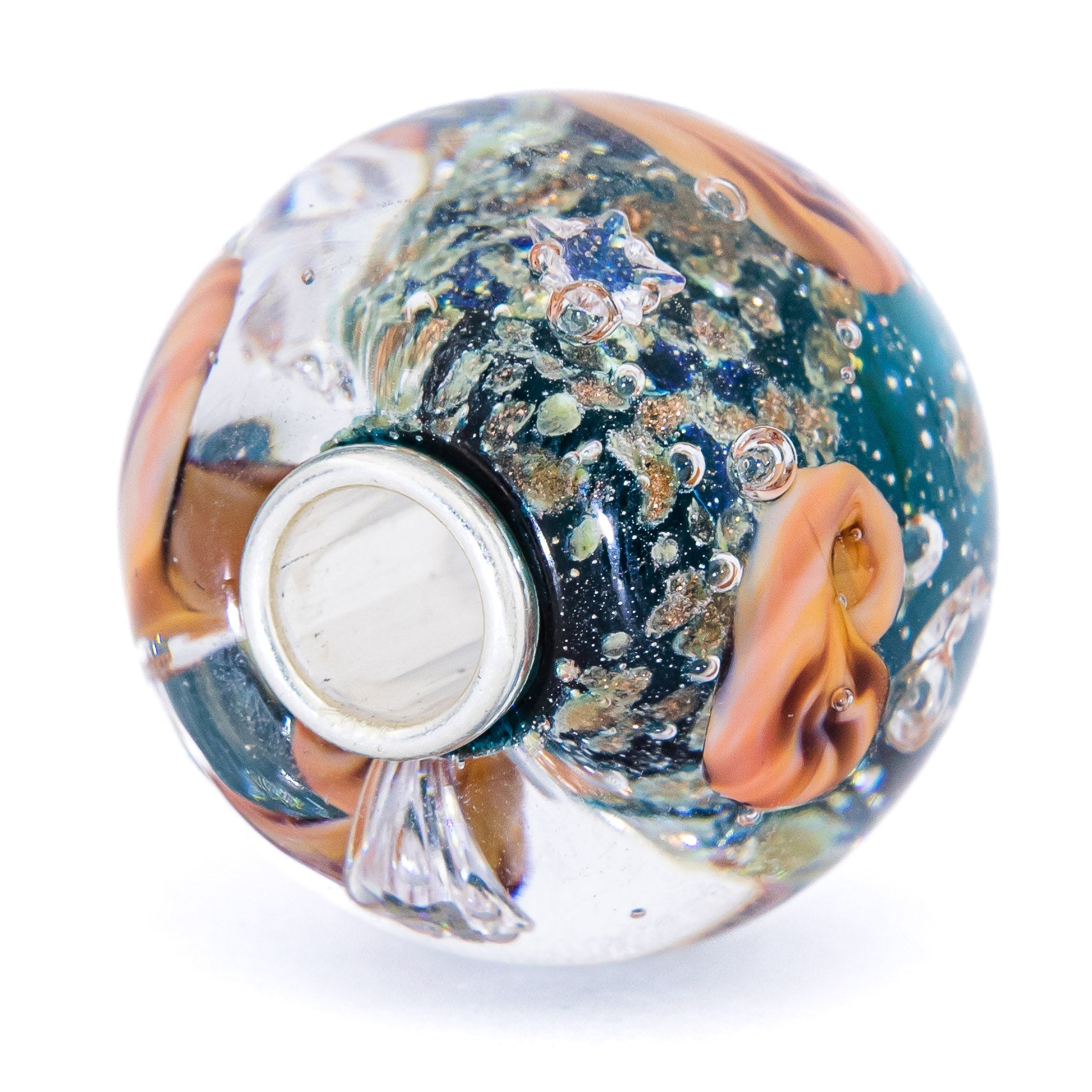 Ocean Seashell Shimmering World