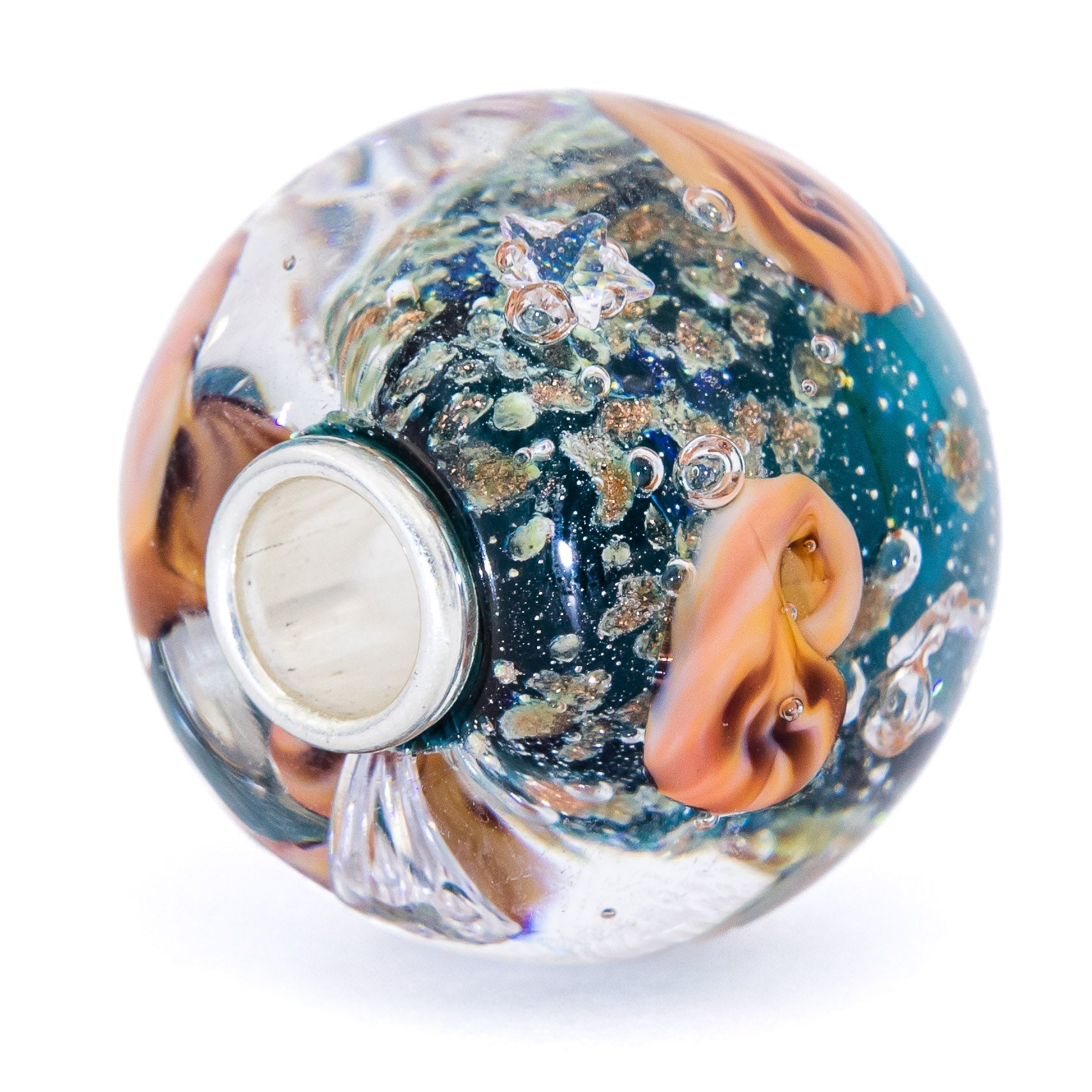 Ocean Seashell Shimmering World