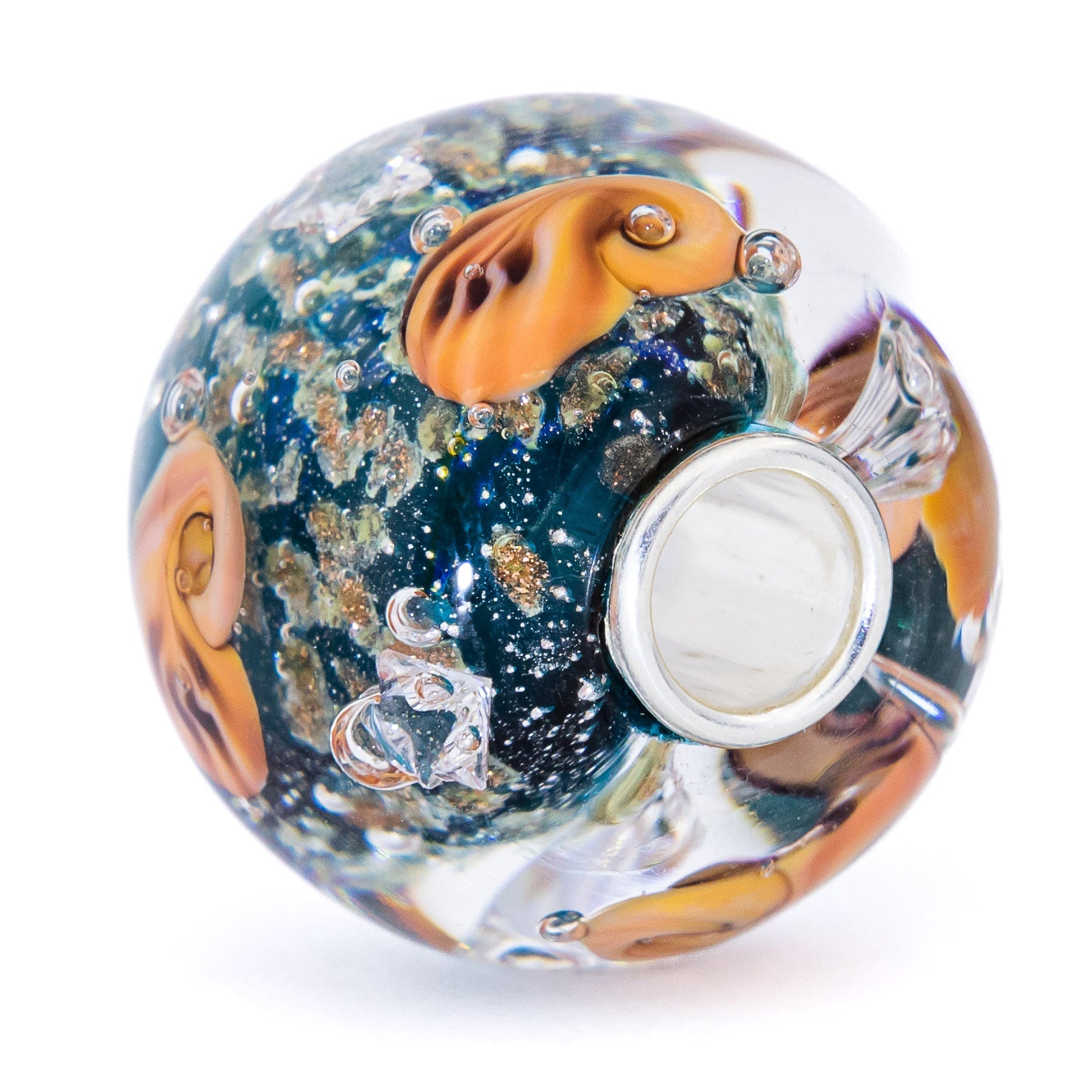 Ocean Seashell Shimmering World