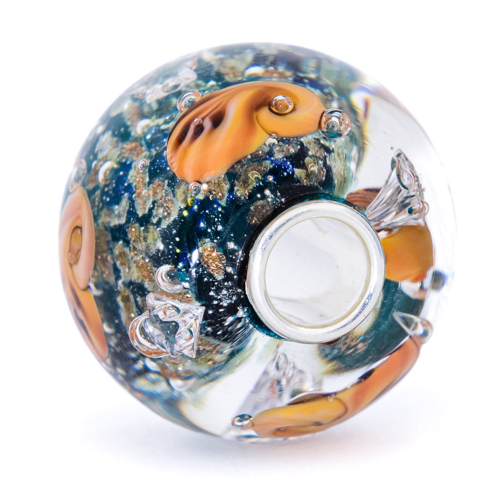 Ocean Seashell Shimmering World