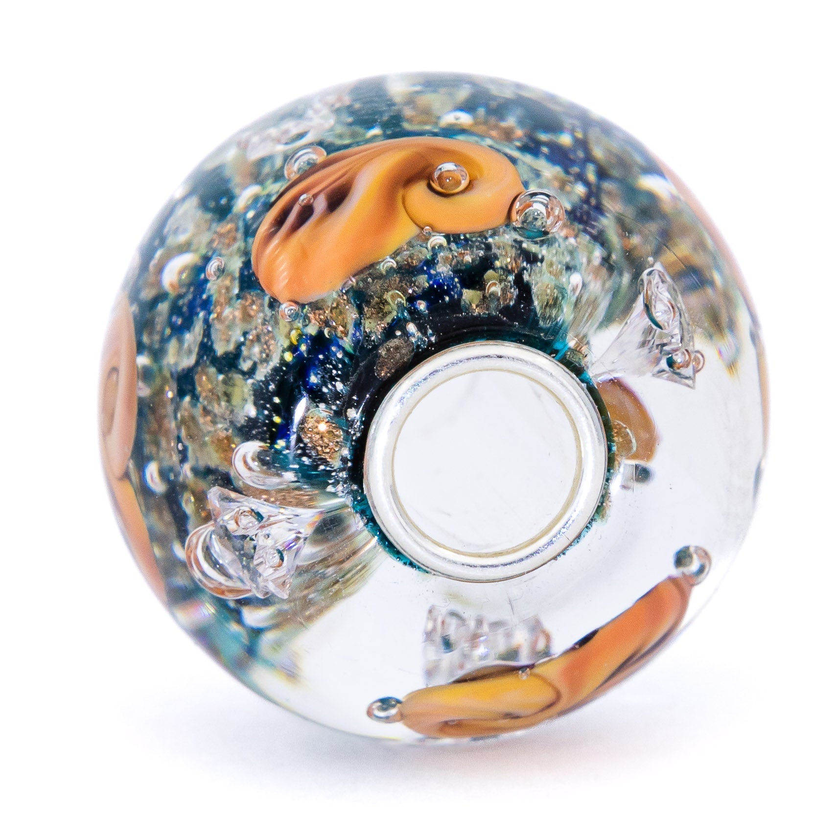 Ocean Seashell Shimmering World