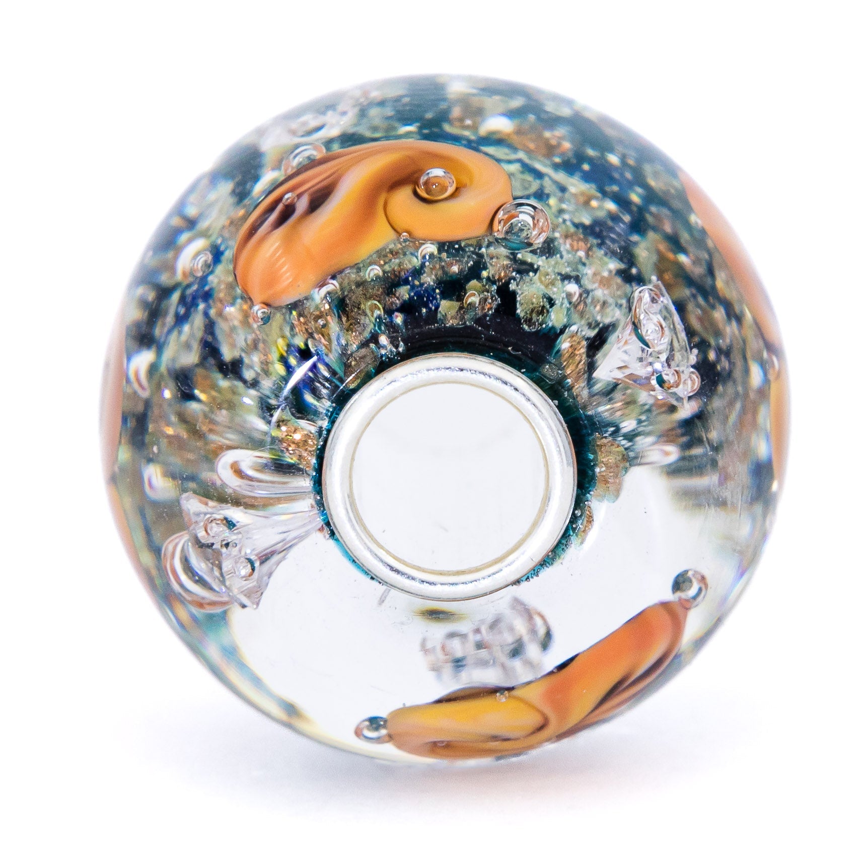 Ocean Seashell Shimmering World
