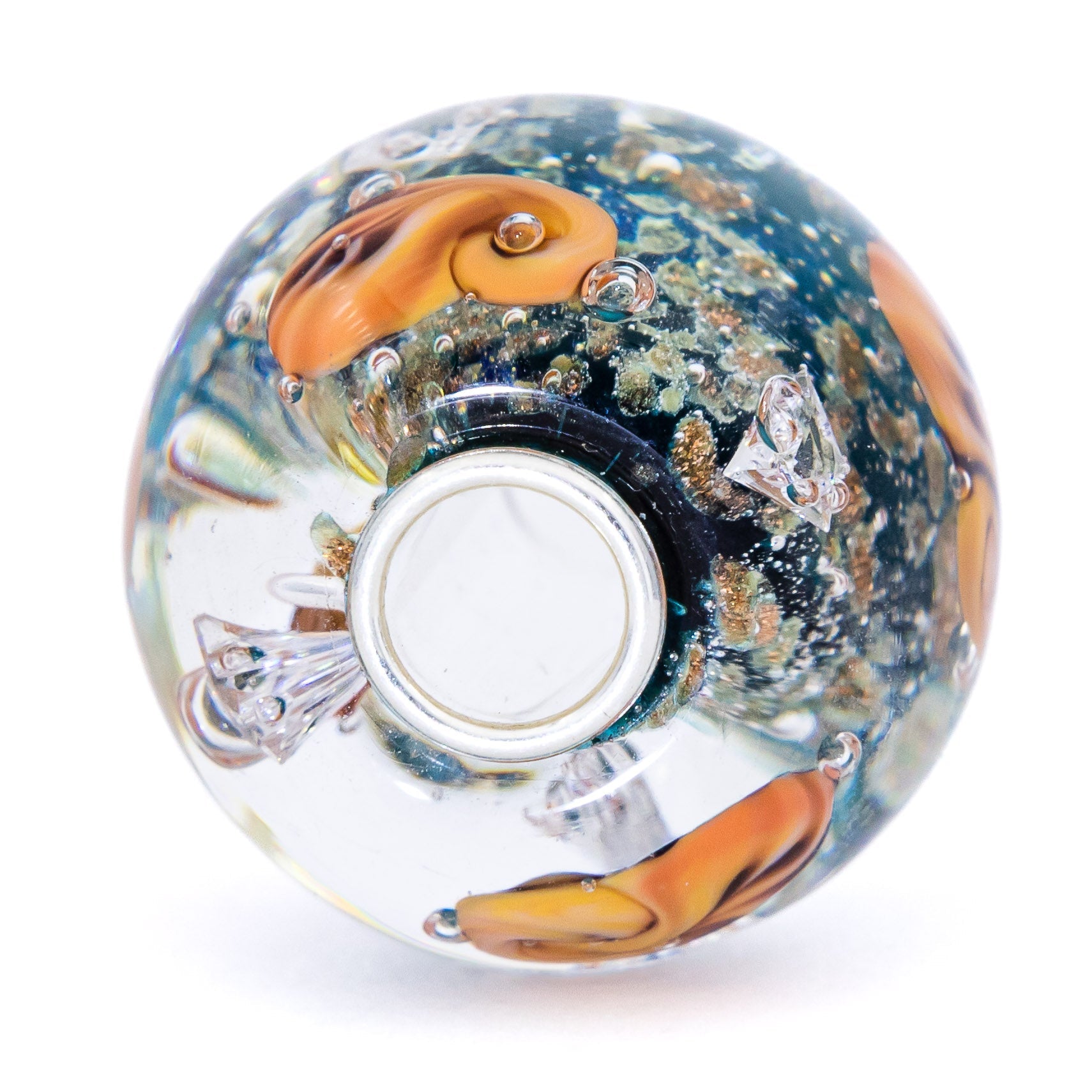 Ocean Seashell Shimmering World