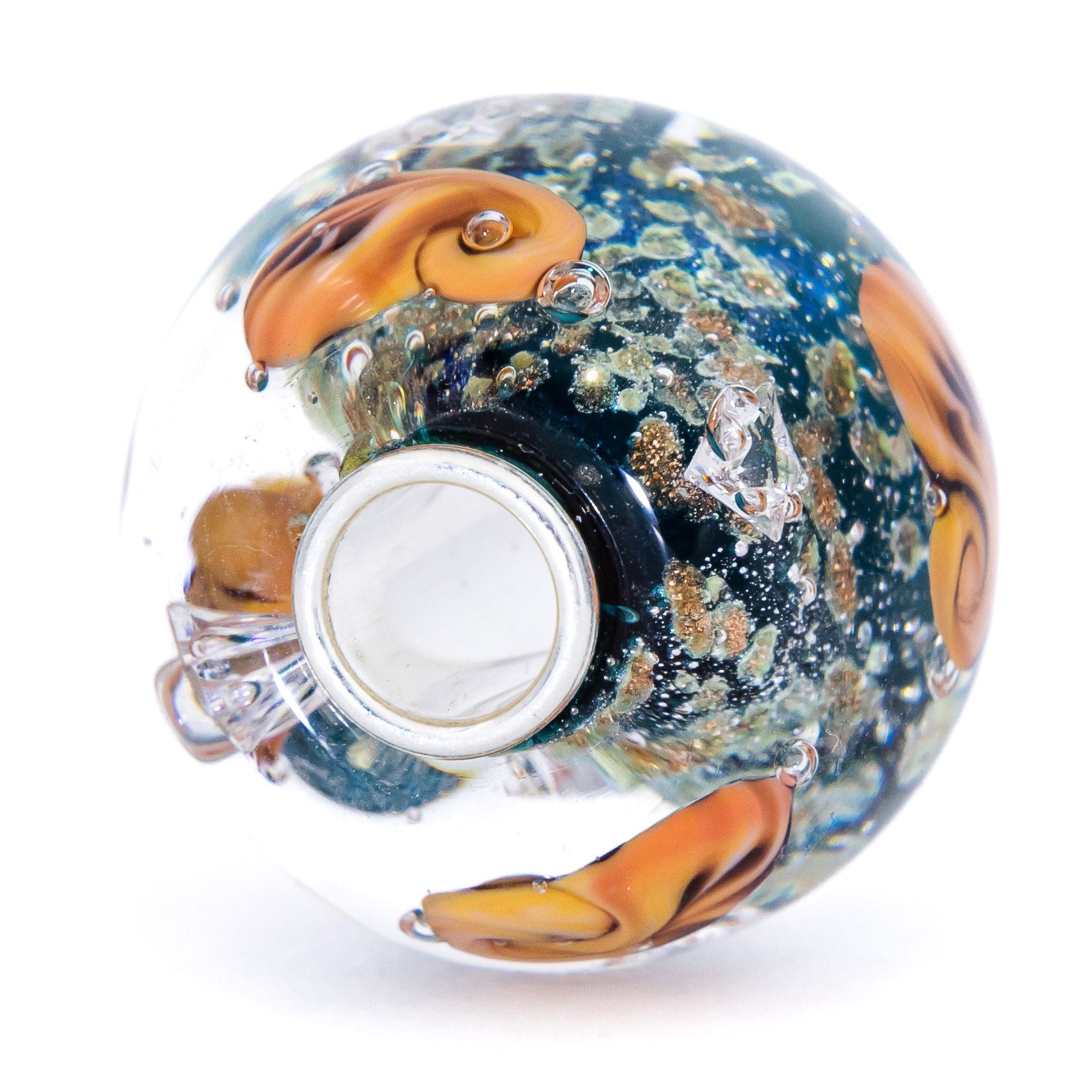 Ocean Seashell Shimmering World