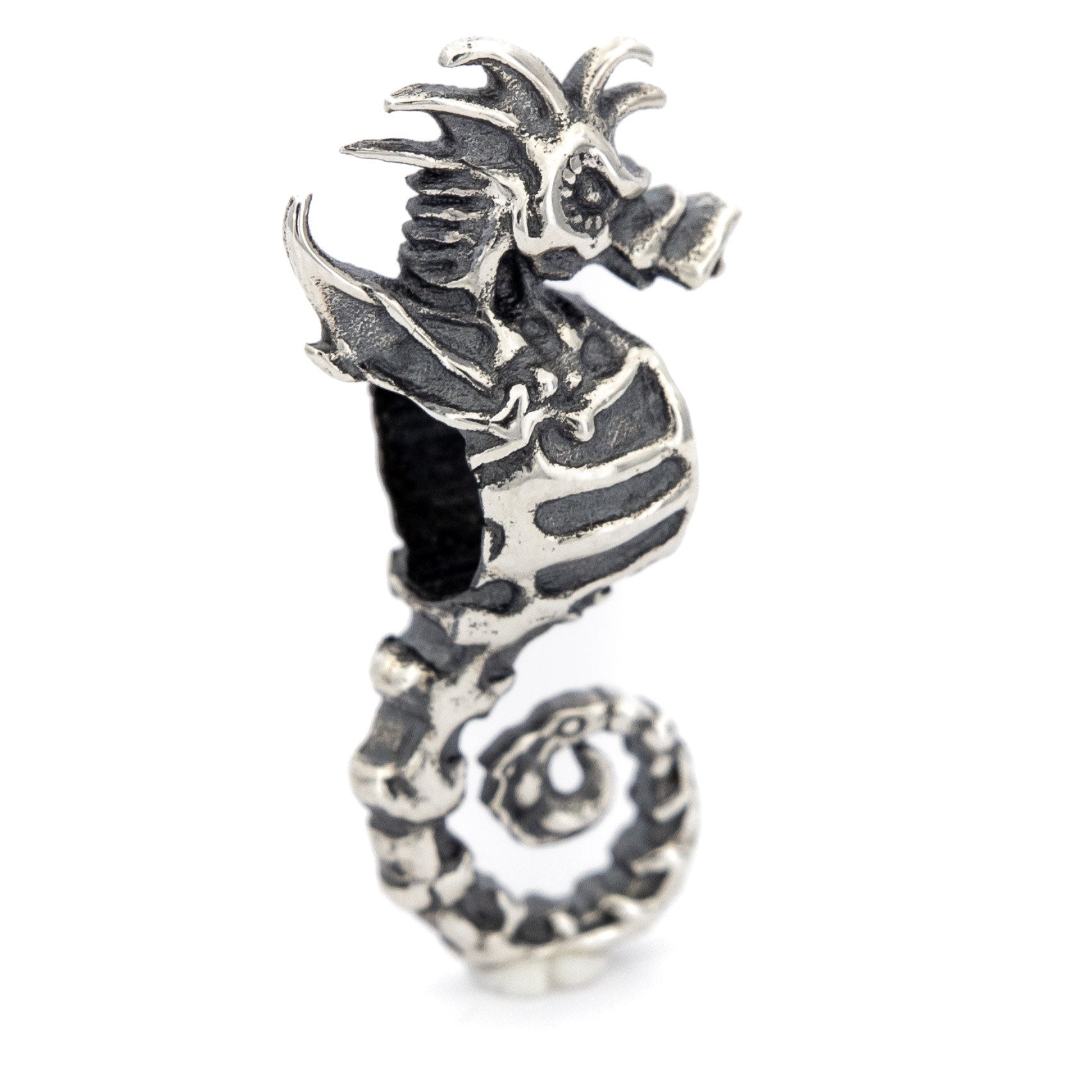 Skeleton Seahorse