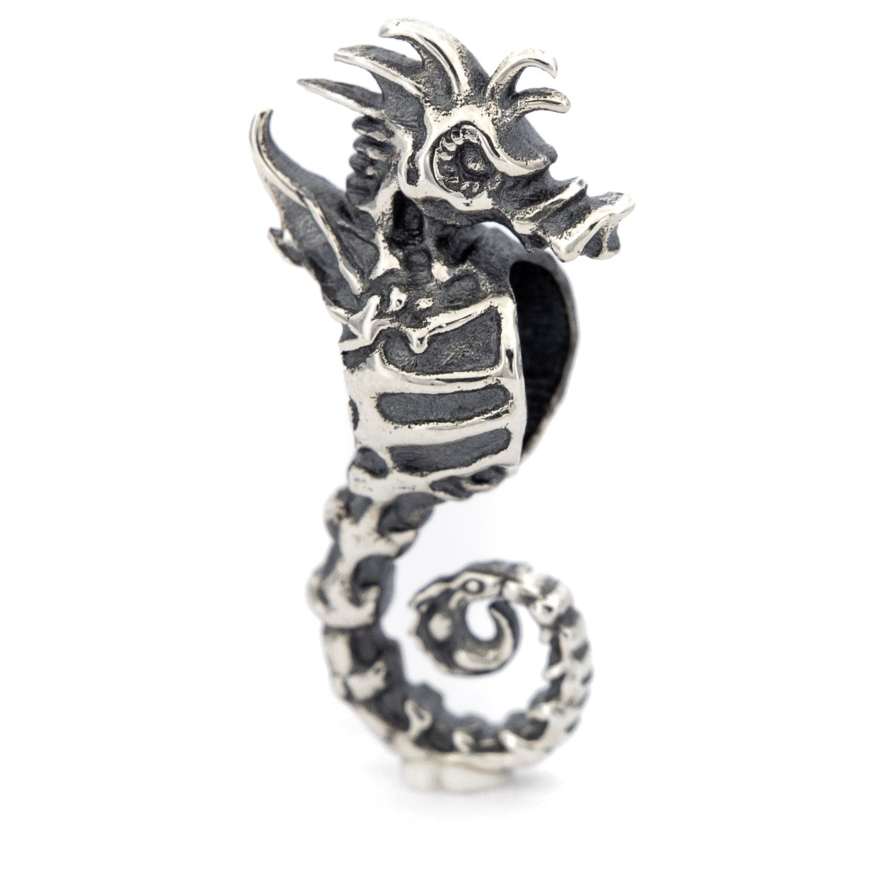 Skeleton Seahorse