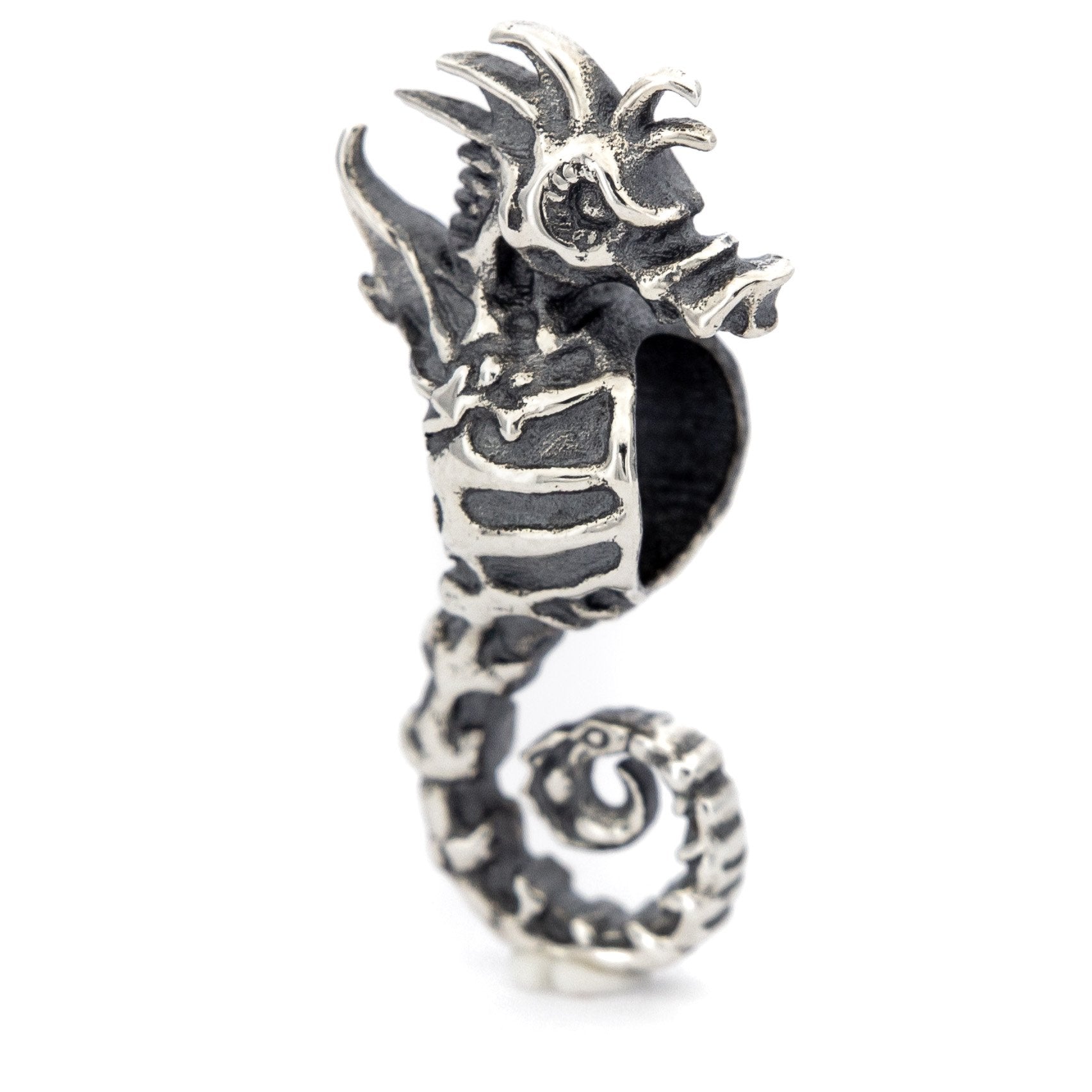 Skeleton Seahorse