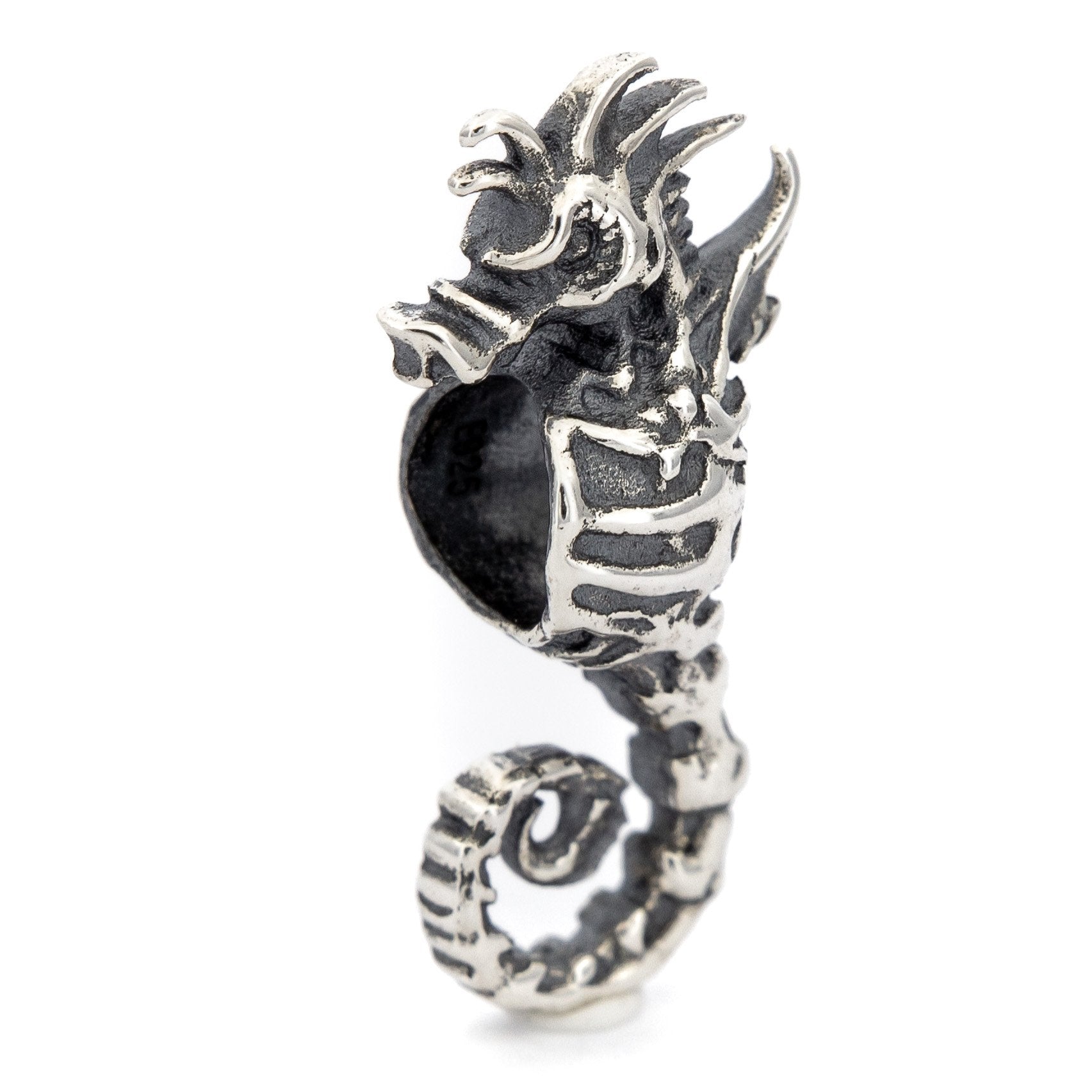 Skeleton Seahorse