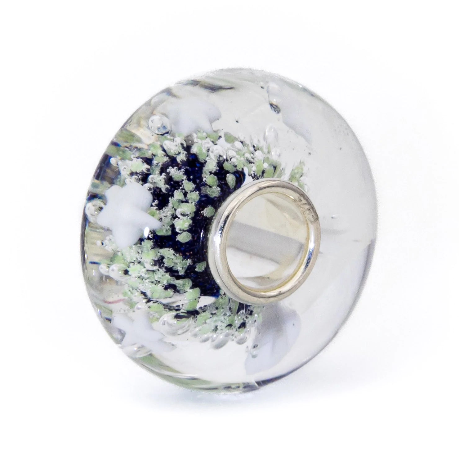 Star Aurora Starlight