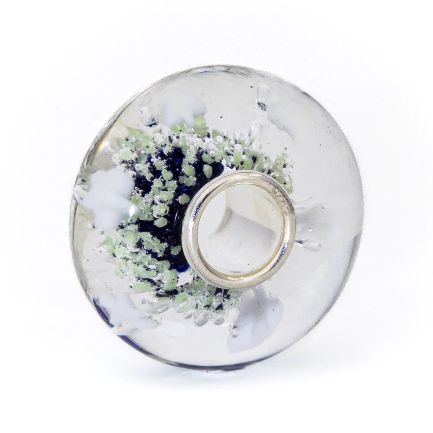 Star Aurora Starlight