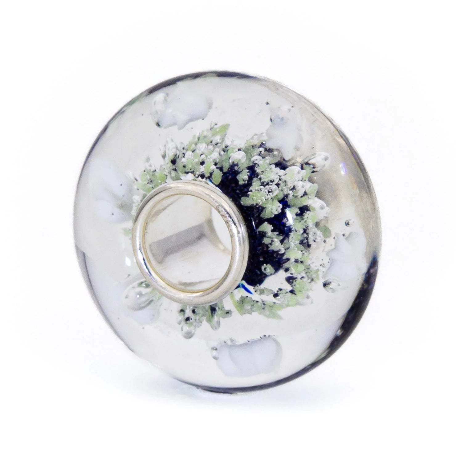 Star Aurora Starlight