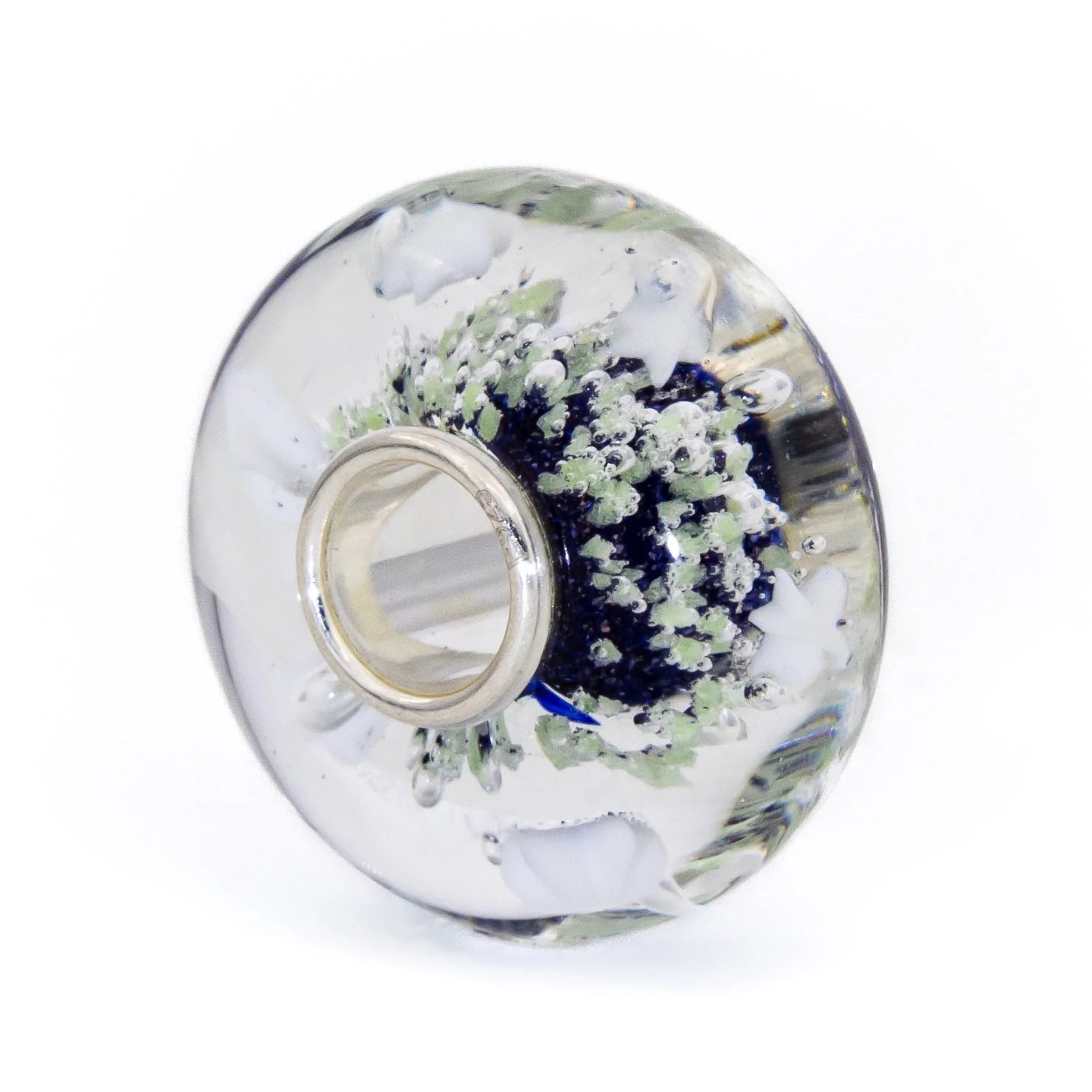 Star Aurora Starlight