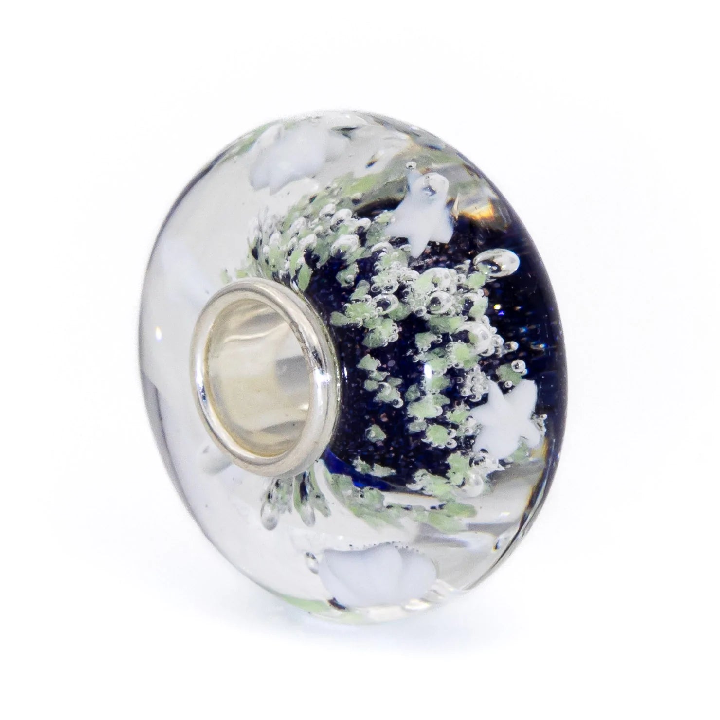 Star Aurora Starlight