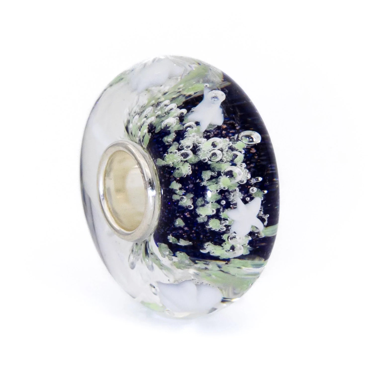 Star Aurora Starlight