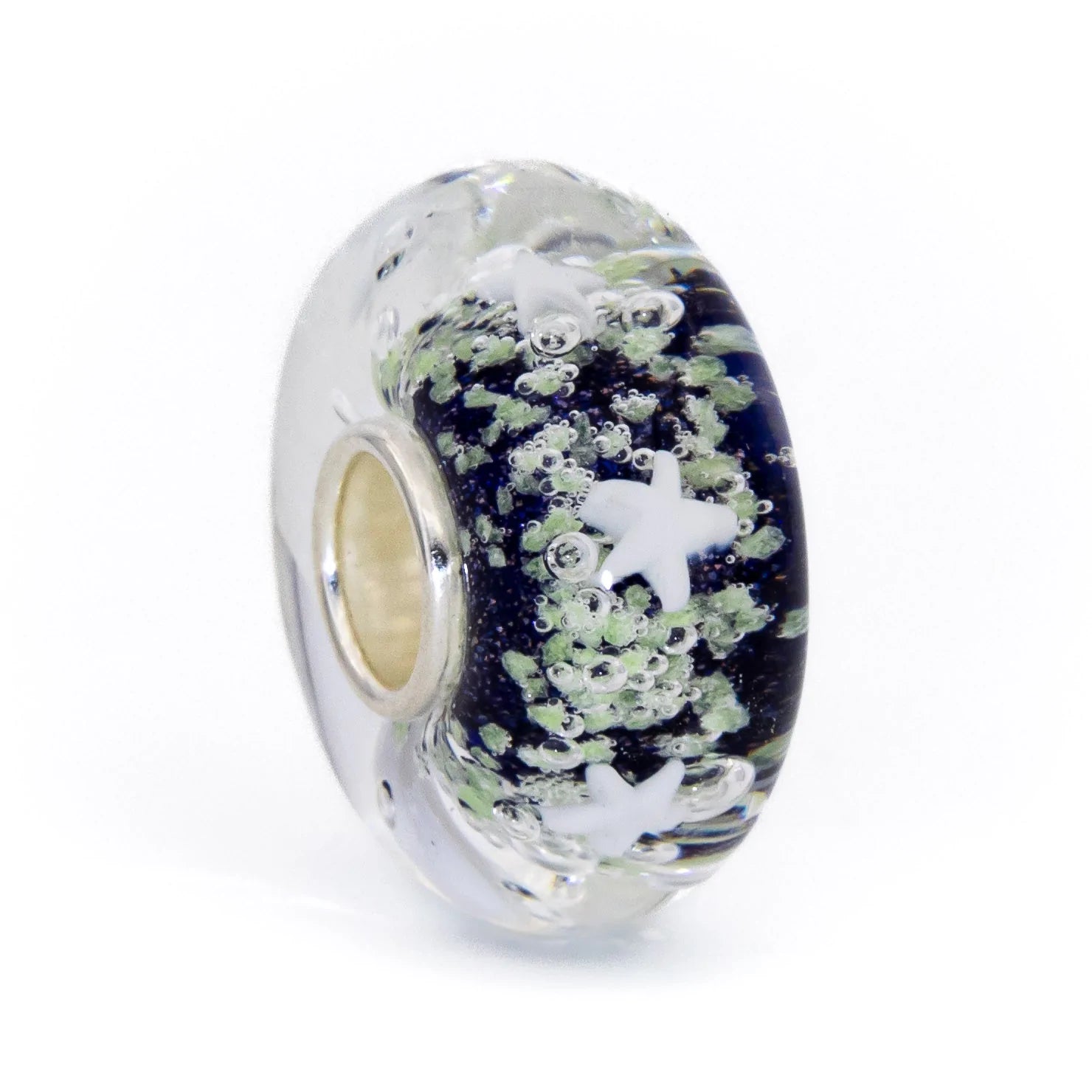 Star Aurora Starlight