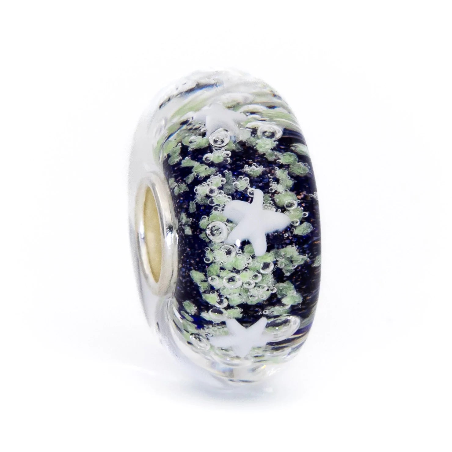 Star Aurora Starlight